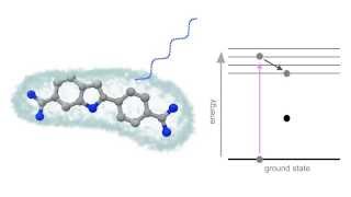 Fluorescence Animation [upl. by Cato]