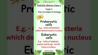 Key concepts in GCSE Biology  Types of cells and their structure  2023 Exam Revision [upl. by Selfridge]