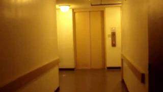 Otis Traction Service Elevators at Doubletree by Hilton Hotel Greenway Plaza Houston TX [upl. by Adimra]