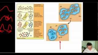 Speciation Part 2 Allopatric [upl. by Karlan]