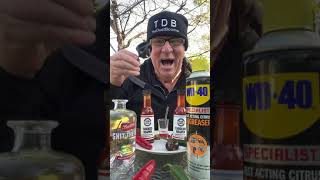 Guy eats hot peppers covered in hot sauce [upl. by Otti]