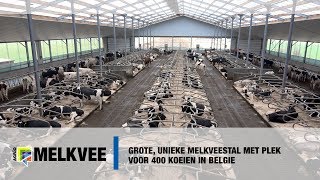 Grote unieke melkveestal met plek voor 400 koeien in Belgie [upl. by Edobalo883]