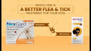 Which One is a Better Flea and Tick Treatment for Your Dog Nexgard or Bravecto [upl. by Analram243]