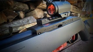 Crosman 1077 quotfreestylequot  Bushnell trs25The most fun you can have in the backyard [upl. by Alcot]