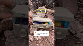 What is inside of a cache Watch this to find out 👀 [upl. by Ardnaskela525]