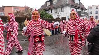 FASNET 2018 IN WEINGARTEN 3 von 5 [upl. by Elleval869]