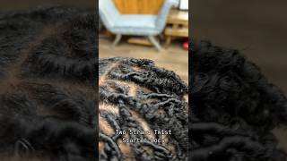 Two Strand Twist Starter Locs 🫶 starterlocs locs locjourney loctician [upl. by Eelrebma960]