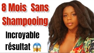 8 mois sans Shampoing  résultat incroyable [upl. by Samala]