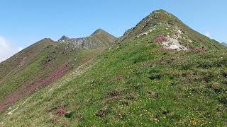 FagarasCaldarea Fundul CapreiBudaRaiosuMuseteica [upl. by Lehteb]