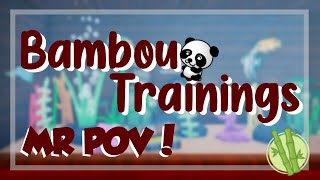 Bambou Trainings 1  MR POV 🌿 [upl. by Salokin]