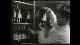 Manufacturing Homeopathic Medicines with Jean Boiron [upl. by Nirmak]