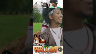 Leencoo Gammachuu Walaabuu New Oromoota Music 2023 [upl. by Einnig235]