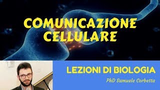 Comunicazione cellulare  Lezioni di Biologia [upl. by Elrem299]