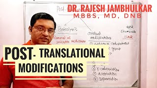 7 Posttranslational Modifications [upl. by Alledi]