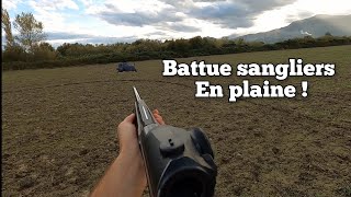 ☆battue aux sangliers en plaine 20232024☆ [upl. by Noah]