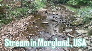 Stream in Maryland USAusa america unitedstates sream river viralvideos vlog utubesubscribe [upl. by Hsakaa183]