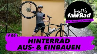 Hinterrad ausbauen amp einbauen ohne Montageständer dafür mit Lama – 6 How To fahrRad [upl. by Ttehc]