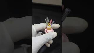 Found 4 canals on extracted molar bds molar root canal [upl. by Jezreel75]