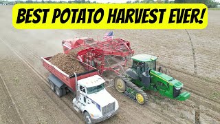 Best potato harvest ever 2023  How potato harvest works [upl. by Farrica531]