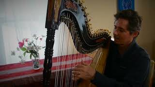 Nicolas Carter plays quotUne Vals Musettequot on Paraguayan Harp [upl. by Brunhilde]