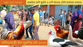 দেশি মুরগি রাজহাঁস ও দেশি হাঁস ক্রেতাদের জন্য এটাই সর্বোৎকৃষ্ট বাজার নালিতাবাড়ী মুরগির হাট ২০২৩ [upl. by Redlac422]