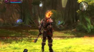 Kingdoms of Amalur armor sets [upl. by Esnofla]