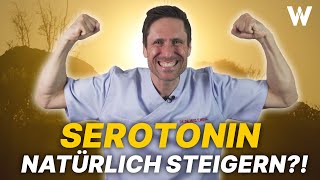 Serotonin Hast DU genug Chefhormon Glückshormon und Wunderwaffe gegen Depression amp mehr [upl. by Mcleod]