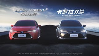 New Corolla and Levin Guangzhou Motor Show reveal video [upl. by Swords]