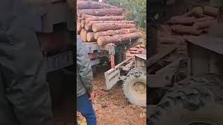 Preparation process before transporting logs [upl. by Aysa]