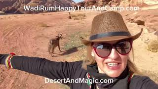 Bedouin life with Goats in Wadi Rum Desert [upl. by Jotham134]