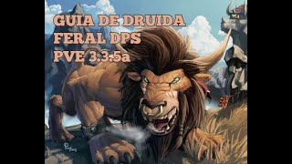 GUIA DE DRUIDA FERAL DPS PVE 335a [upl. by Breen]