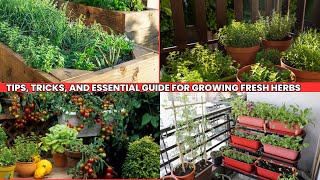 quotCreating a Thriving Herb Garden Tips Tricks and Essential Guide for Growing Fresh Herbsquot [upl. by Laroy]