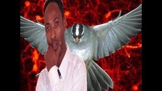 best of 2013 somali music Run Iyo Been By Istiinle [upl. by Dyolf]