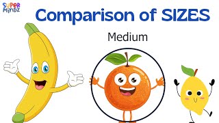 COMPARISON OF SIZES  Small Medium or Large  🧐  For Kids  SuperMindz [upl. by Aihsenak]