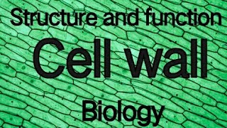 structure and function of cell wall class 9th biology [upl. by Nedac410]