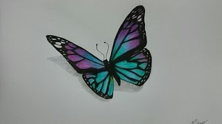 How to Draw a Realistic Butterfly with Colored Pencils [upl. by Corvese483]