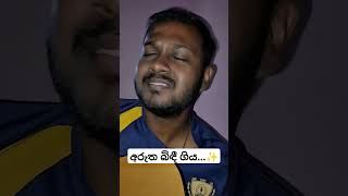 අරුත බිඳී ගියPerawadanak cover  Sanuka Wickramasinghe sanuka umaaseni perawadanak [upl. by Neomah675]