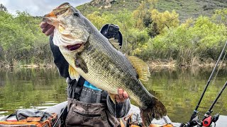 Catching A Double Digit Bass FISH OF A LIFETIME [upl. by Ahsiym]