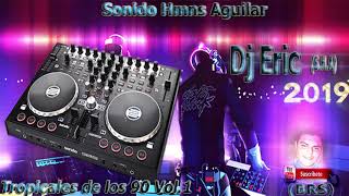 Tropicales Del 90 Enganchado Mix Dj Eric vol1 2019 [upl. by Anada]