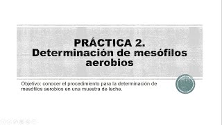 practica 2 Determinación de mesófilos aerobios [upl. by Bambie553]