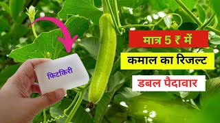 Best Fertilizer For Bottle Gourd लौकी की बेल में यह चीज सिर्फ एक बार डालने से पौधा लौकी से लद जाएगा [upl. by Romie287]