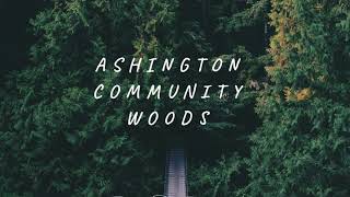 Ashington Community Woods [upl. by Eicirtap]