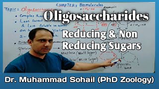 OligosaccharidesCarbohydratesReducing and non Reducing Sugars [upl. by Enelhtak3]