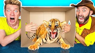 What’s in the BOX Challenge LIVE ANIMALS Gross Giant Slime Orbeez amp Real Food vs Gummy Food [upl. by Yelsnit]