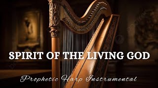 Prophetic Warfare Harp Instrumental WorshipSPIRIT OF THE LIVING GODBackground Prayer Music [upl. by Wurtz]