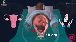 Vaginal Delivery  Labour amp Birth 👶🏻🤱🏻 [upl. by Gwenore]