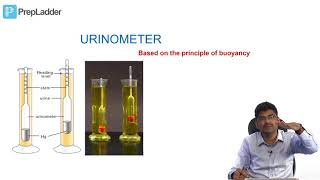 Urine Analysis  Biochemistry practical [upl. by Hairem266]