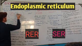 Endoplasmic reticulumDetail pashto lectures [upl. by Yemane17]