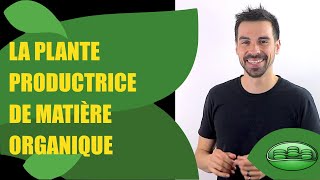 COURS DE TERMINALE SPÉCIALITÉ SVT CHAP9 LA PLANTE PRODUCTRICE DE MATIÈRE ORGANIQUE  Bio Logique [upl. by Easter401]