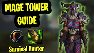 Survival Hunter Mage Tower Guide  DPS Mage Tower Guide Dragonflight  Closing the Eye [upl. by Just]